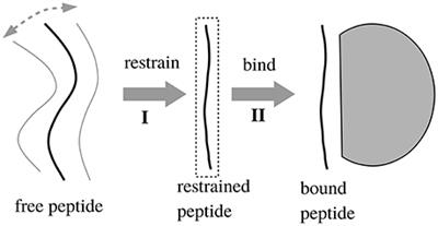 A Simple PB/LIE Free Energy Function Accurately Predicts the Peptide Binding Specificity of the Tiam1 PDZ Domain